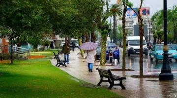 توقعات الجمعة زخات مطرية وشبورة على شمال المملكة